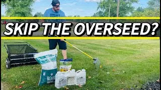 Fall Lawn Renovation Steps | Why I chose to skip overseeding.