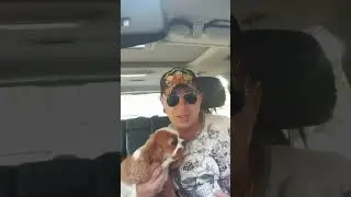 Анекдот. Следующий...