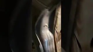 МОИ первые видео) 