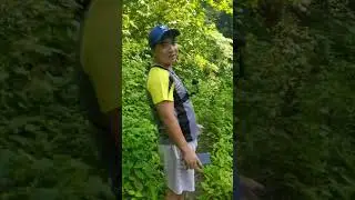 Trip to Baey Anito Waterfalls
