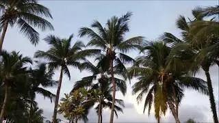 Khao Lak & Palm Beach Resort im August 2018