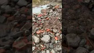 Сел КОНКРЕТНО 