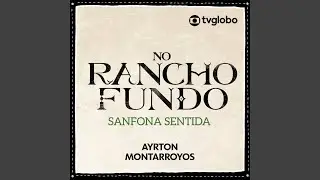 Sanfona Sentida (No Rancho Fundo)