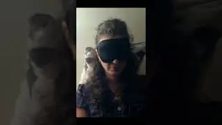 РОДОВЫЕ ДРУЖИНЫ ЗАЩИТНИКИ РУСИ