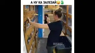 Понял этот жест😆🐍 