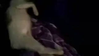 Kucing penyayang, dipegang masih sayang...