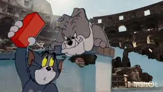 том и Джерри в Колизее