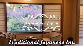 🍁Autumn in Japan enjoy the countryside 🍁