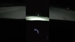 4 марта 2023 г.