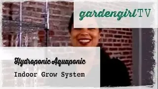 Hydroponic Aquaponic Indoor Grow System