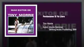 Tiny Morrie - 