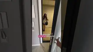 Монетизация блога. Няня для минипига. Инфоповод.
