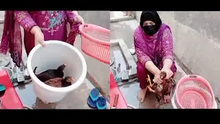 How to slaughter a desi chicken(By Women)#trending #slaughter# desi chicken