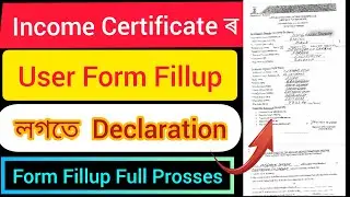 User Form Fillup with declaration form Fillup