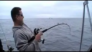Halibut fishing to a T. This is fishing!