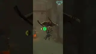 Link's Hidden Ability in Tears of the Kingdom!