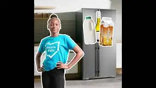 What can be recycled from the fridge?