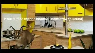 ПРОПАВШИЙ ШЛЕПА(все выйдет завтра) #явернулся#мемы #реки #рекии #рекомендации #топ #шлепа