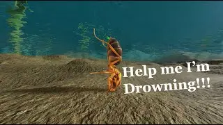 Teaching Ants how to swim in Ant Life V2 Live!