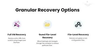 Granular Data Recovery Capabilities of StoneFly Backup and Disaster Recovery Appliances | Demo