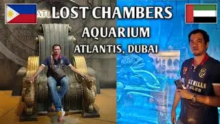 What's Inside The Lost Chambers Aquarium Dubai? Let's Have  A Quick Full Tour