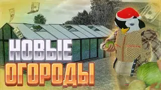Всё про НОВЫЕ ОГОРОДЫ! 1КК в ДЕНЬ | Radmir/Hassle