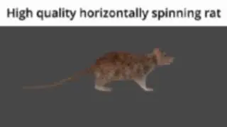 Low quality horizontally spinning rat