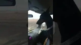 Анти радар