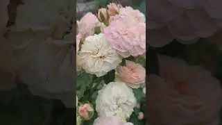 Вспоминая лето! часть 2