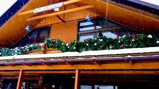 Друзі З Наступающим Новим Роком!!! 🎄 🎄 🎄