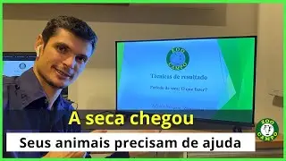 Período seco: O que fazer?