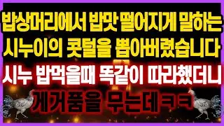 [역대급 사이다 사연] 밥맛 떨어지게 말하는 시누이의 콧털을 뽑아버렸습니다 밥먹을때 똑같이 따라했더니 게거품을 무는데ㅋㅋ 사연모음 실화사연