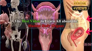 Secrets of Your Body Revealed in 8 Minutes 🔍 [It Will Change Your Life] 🌟