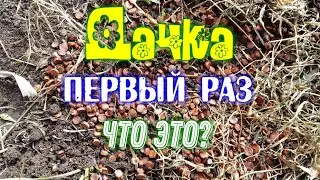 Открыли дачный сезон.🍃Апрель 2020г.Дача-сад на Урале.Dacha.Простая жизнь.