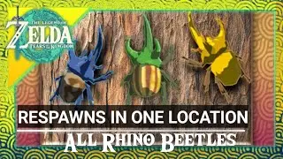 All Rhino Beetles in One Location - Tears of the Kingdom