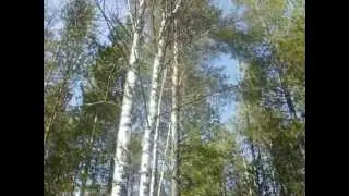 Пинюг-моя родина