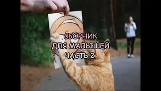 Приколы с животными.Сборник для малышей.Часть 2.Смешные/ говорящие животные/юмор с животными.
