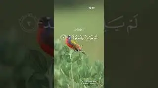 surh iqhalas