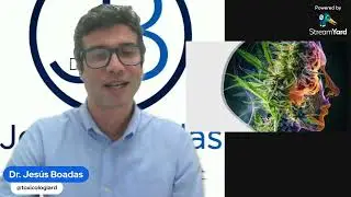 Controversias sobre la marihuana