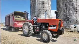 Chopping Corn Silage & Filling Silo near Fort Recovery Ohio