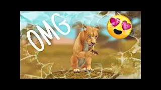 Прокачка льва до 150 lvl ||WildCraft