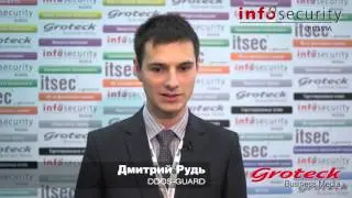 DDoS-GUARD - российские разработки для Интернета