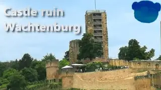 Castle ruin Wachtenburg in Wachenheim in Rhineland Palatinate