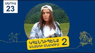 «Կհանդիպենք անտառի տնակում 2» Սերիա 23 / 