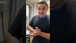 1 ноября 2023 г.