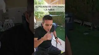 The danger of contracting rabies. 