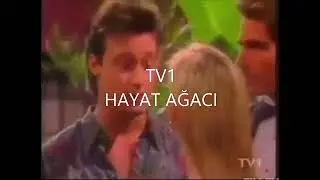 hayat  agaci