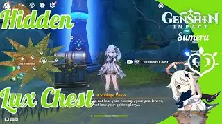 ‼ ‼ Hidden Chest Sumeru ►Genshin Impact × Maybe Missed