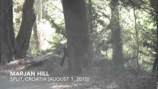 Marjan Hill 2015