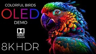Colorful Birds OLED Demo HDR 8K Ultra HD Dolby Vision™ 60fps